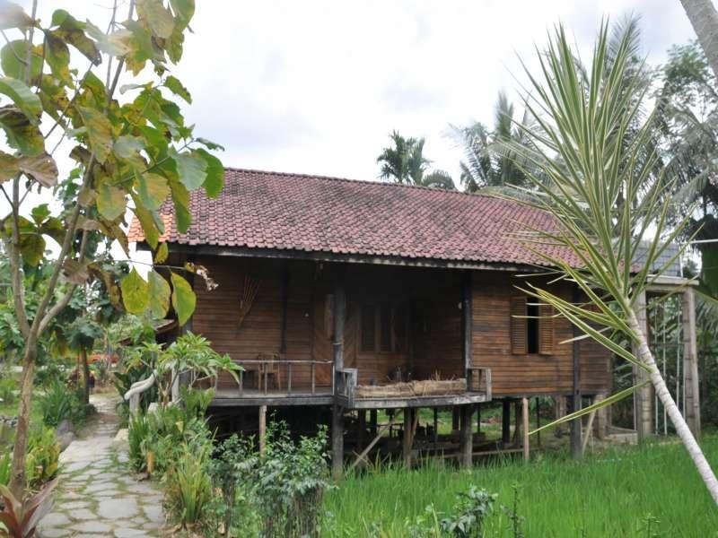 The Pikas Resort Wonosobo Exteriér fotografie